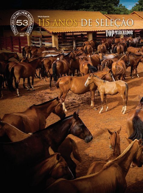 160 ideias de Gaucho  cavalos, gaúcho, arte sertaneja