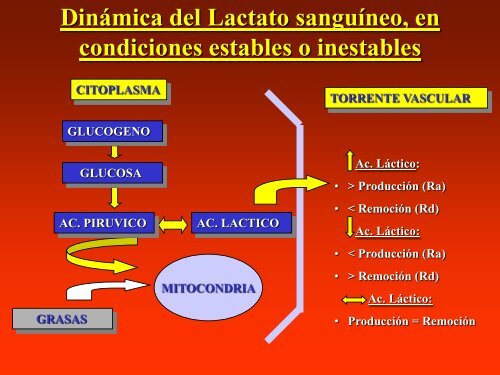 17 Evaluacion Medico Deportiva Natacion