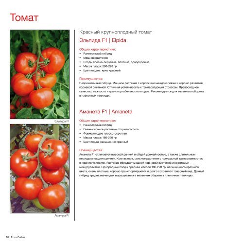 Томат красный метеор f1. Сорт помидор красномордина. Томат суперэкзотик. Томат красномордина семена. Томат красный камуфляж томат.