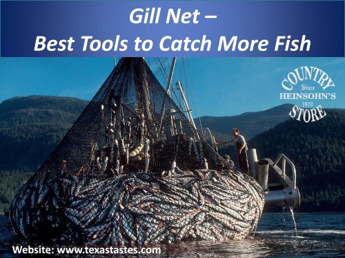 bass fishing with 5 wt fly rod If you haven't bass fished with a 5WT fly rod you have to try it!  #flyfishing #bassfishing #pike #trout #flyrod