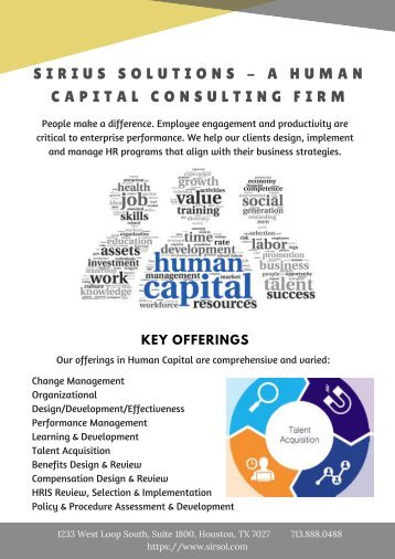 Sirius Solutions - A Human Capital Consulting Firm