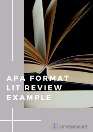 APA Format Lit Review Example