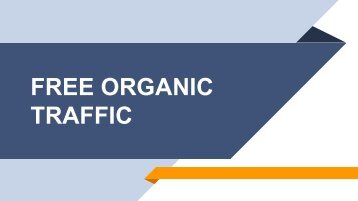 Free Organic Traffic