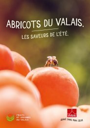 Abricots du Valais - les saveurs de l'été