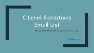 C level executives email list - C level executives mailing list - C level executives email database
