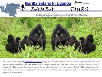 Gorilla Safaris In Uganda