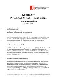 MERKBLATT INFLUENZA A(H1N1) – Neue ... - Aeskulap-Apotheke