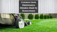 Common Lawn Maintenance Mistakes Made by Homeowners