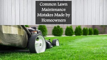 Common Lawn Maintenance Mistakes Made by Homeowners