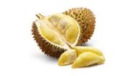 DISKON!!!, WA +62 822-2605-3504, Jual Bibit Durian Bawor Di Surabaya