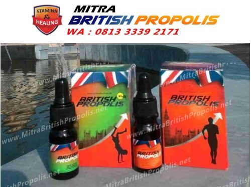 0813 3339 2171 (WA), Agen British propolis Surabaya