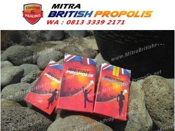 0813 3339 2171 (WA), Jual British Propolis Surabaya