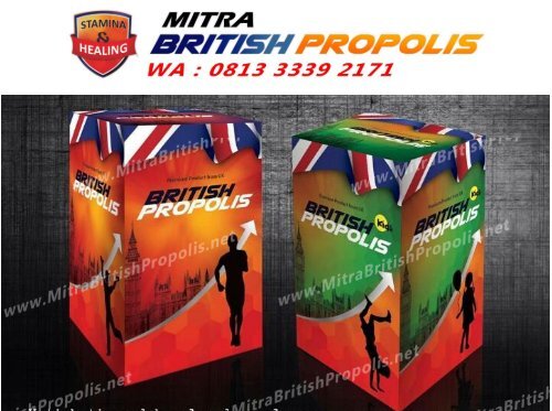 0813 3339 2171 (WA), Manfaat British Propolis Surabaya