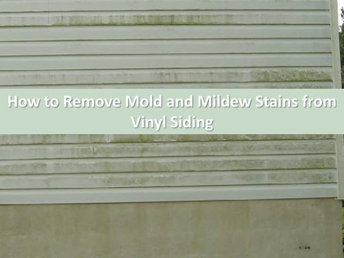 How to Remove Mold and Mildew Stains from Vinyl Siding by Carolina Water Damage Restoration