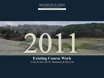 Mackenzie & Ebert 2011 Review