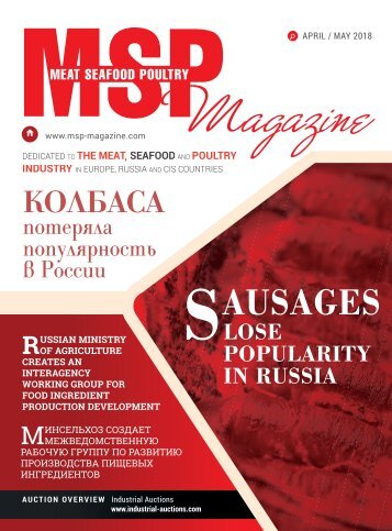 MSP Issue 31