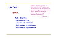 blum2.pdf
