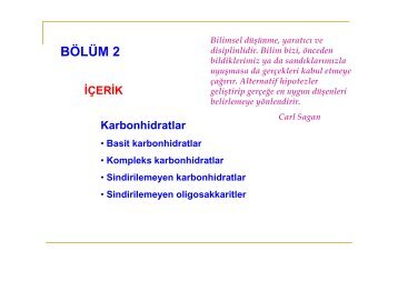 blum2.pdf