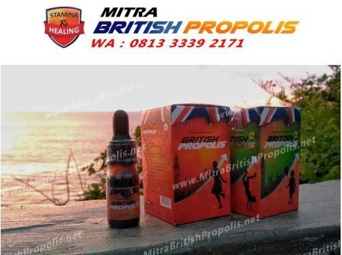 0813 3339 2171 (WA), Mitra British Propolis Surabaya