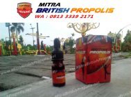 0813 3339 2171 (WA), Khasiat British Propolis Surabaya