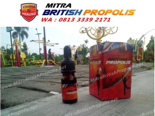 0813 3339 2171 (WA), Khasiat British Propolis Surabaya