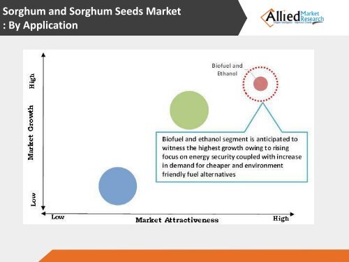 Sorghum &amp; Sorghum Seeds