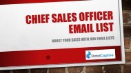 Chief Sales officer email list