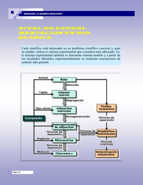 MAGAZINE-LA QUIMICA REACCIONA