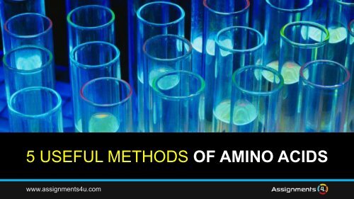 5 HELPFUL METHODS OF AMINO ACIDS