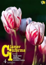 Clamer informa 04 Aprile 2018