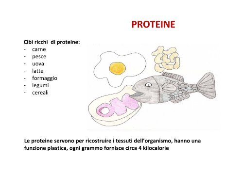 ALIMENTAZIONE DONAZIONE _2A