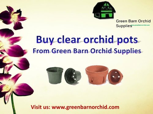 Shop clear orchid pots at a best price from Green Barn Orchid Supplies, USA