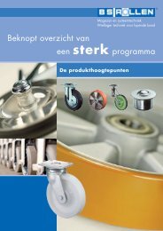 Beknopt overzicht van een sterk programma - BS-Rollen