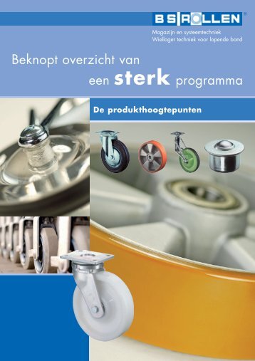 Beknopt overzicht van een sterk programma - BS-Rollen