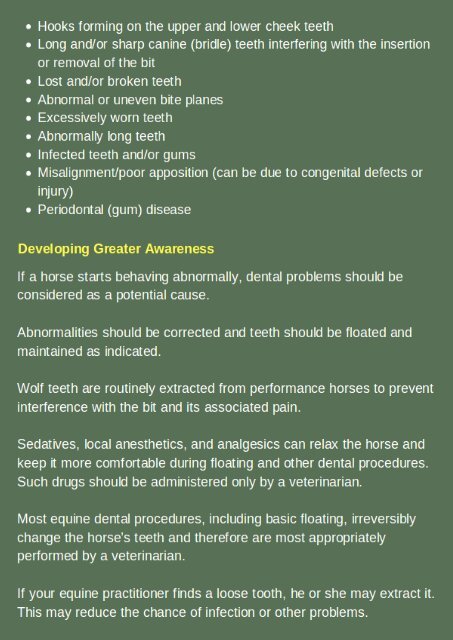 Equine Dental Care | Centreville Veterinarian
