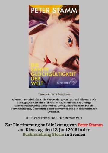 Leseprobe aus Peter Stamm: "Die sanfte Gleichgültikeit der Welt"
