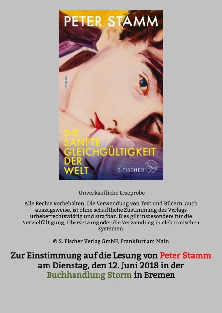 Leseprobe aus Peter Stamm: "Die sanfte Gleichgültikeit der Welt"
