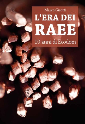 L'Era dei RAEE - 10 Anni di Ecodom