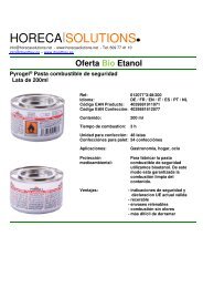 Flyer Pyrogel - Pasta combustible - Bio Etanol