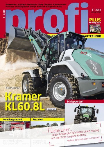 profi-06-2018