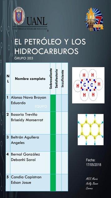 PIA QUIMICA