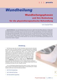 Wundheilungsphasen und deren Bedeutung