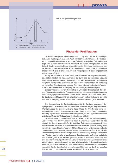 Wundheilungsphasen und deren Bedeutung