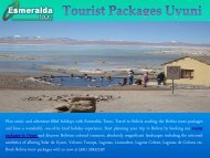 Tourist Packages  Uyuni