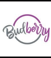 Budberry Mockups v2