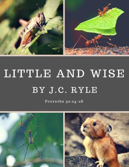 LITTLE AND WISE BY J.C. RYLE