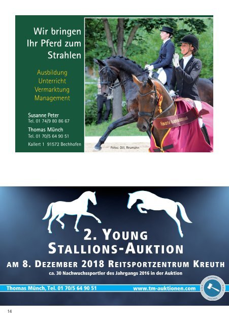 5. YOUNG STARS Fohlenauktion am 27. Mai 2018 in Bremen-Oberneuland