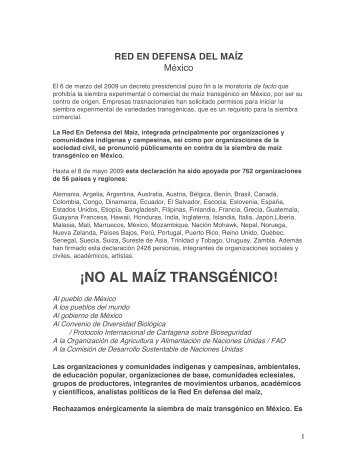 ¡NO AL MAÍZ TRANSGÉNICO! - Indymedia Argentina