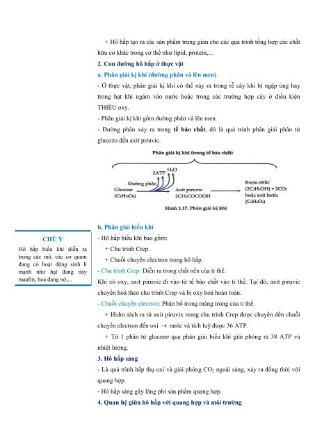 [FullText] Công Phá Sinh 2 - Phạm Thị Thanh Thảo - LoveBook