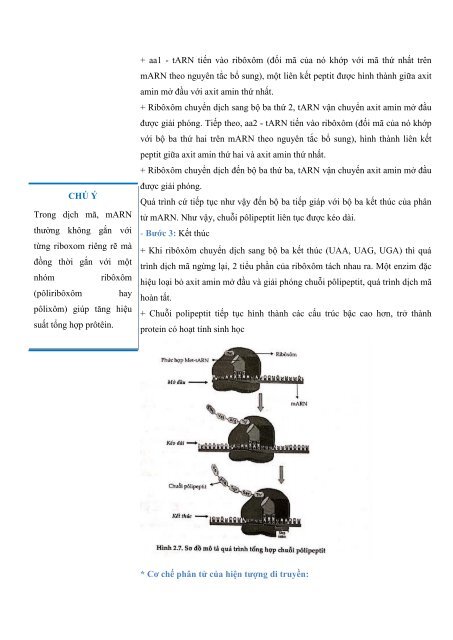 [FullText] Công Phá Sinh 2 - Phạm Thị Thanh Thảo - LoveBook